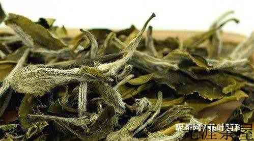 福鼎白茶的等级是如何划分的