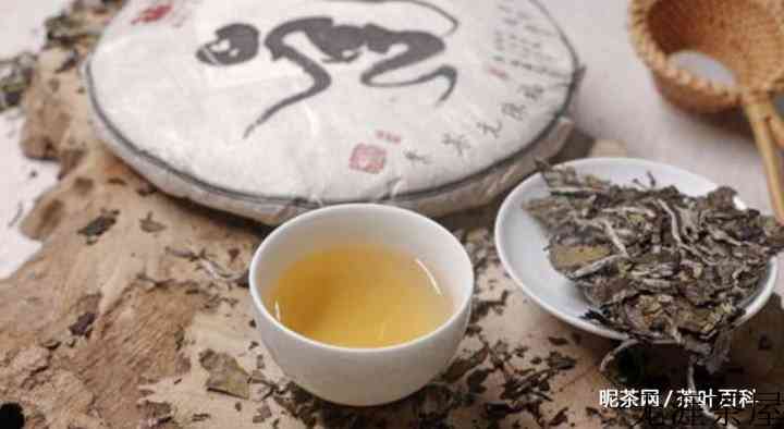 白茶中的氨基酸有什么功效？