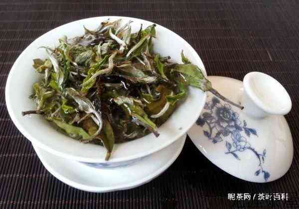 白牡丹茶叶的价格是多少钱一斤