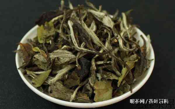 白茶价格是多少钱一斤