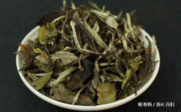白茶第一泡需要倒掉吗？
