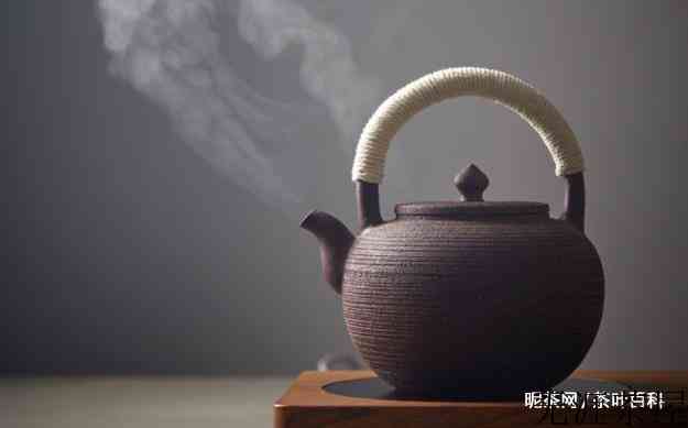 黑茶是冲泡好还是煮好
