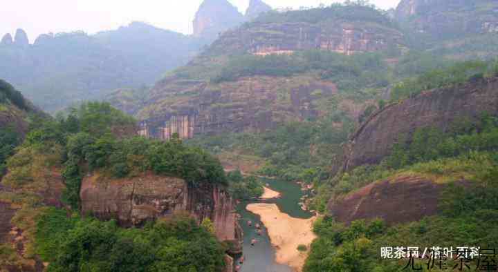 “九曲溪流，三十六峰，七十二洞，九十九岩”，猜猜说的是什么茶？
