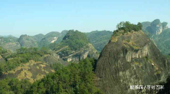 “九曲溪流，三十六峰，七十二洞，九十九岩”，猜猜说的是什么茶？