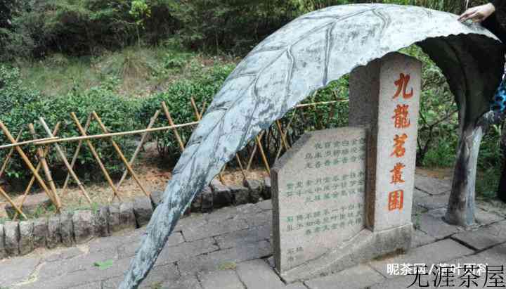 “九曲溪流，三十六峰，七十二洞，九十九岩”，猜猜说的是什么茶？