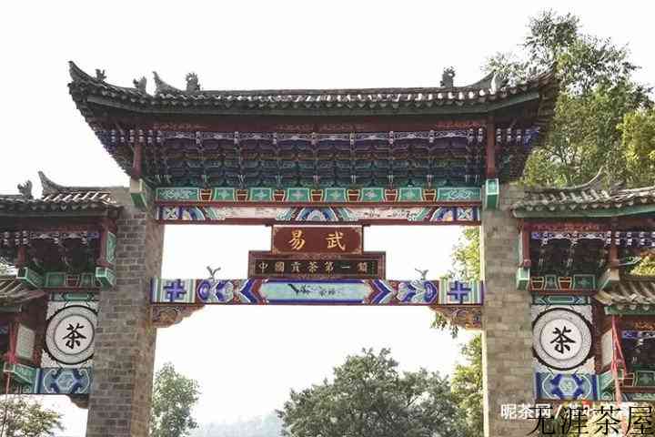 茶是用来喝的，不是用来炒的