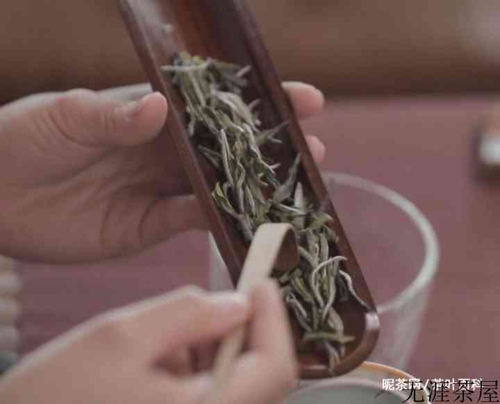 为什么茶叶能煮着喝，却不能久泡？