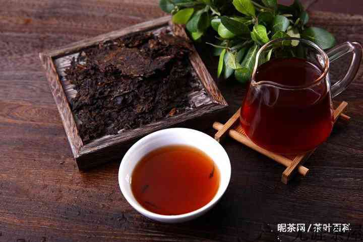 冬天喝什么茶更养生