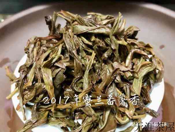 茶叶百科之蜜兰番薯香