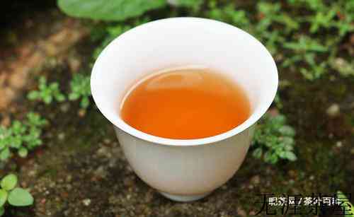 茶叶有什么功效和作用呢？