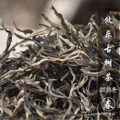 云南攸乐茶区在哪儿 攸乐古茶山介绍