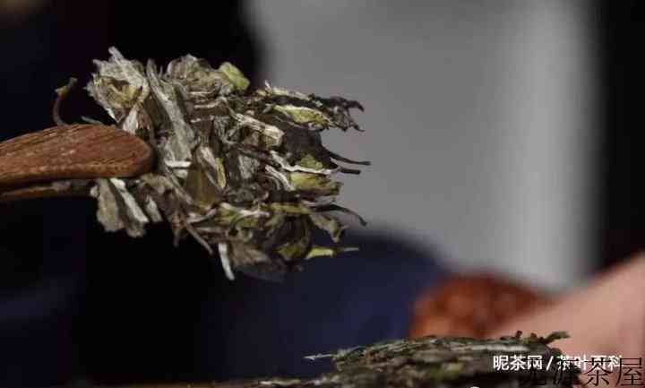 艳冠群芳的白牡丹茶，王者气魄尽在杯中