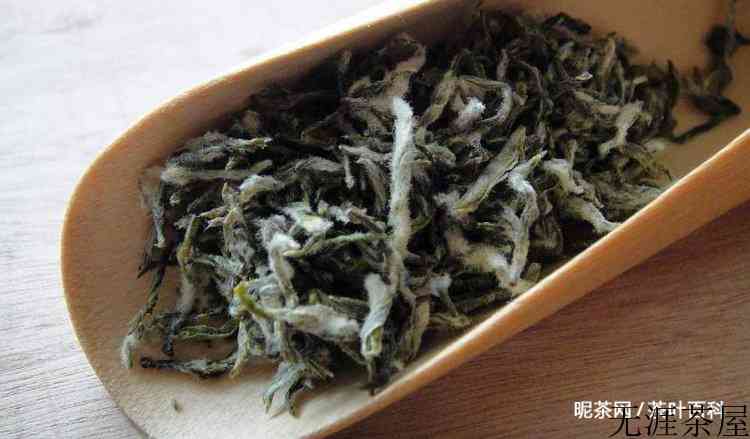 蒙顶甘露的泡法