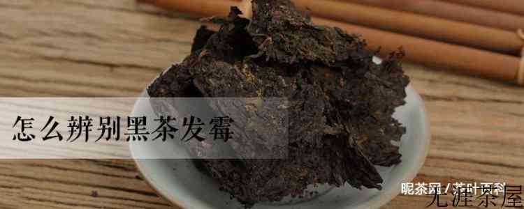 怎么辨别黑茶发霉
