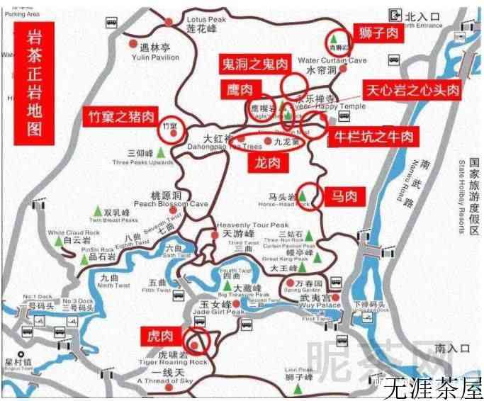 武夷肉桂有哪些品种