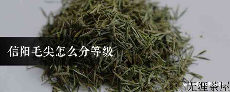 信阳毛尖怎么分等级