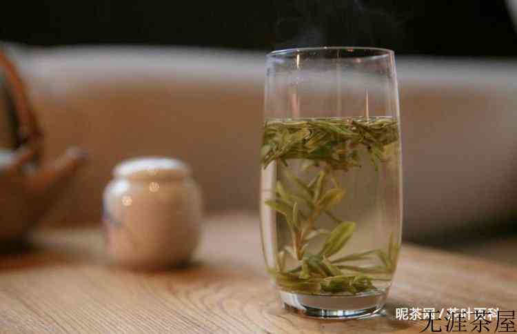 绿茶泡多久