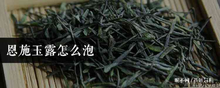 恩施玉露怎么泡