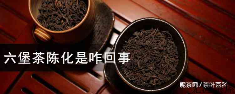 六堡茶陈化是咋回事