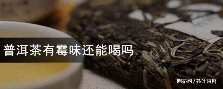 普洱茶有霉味还能喝吗