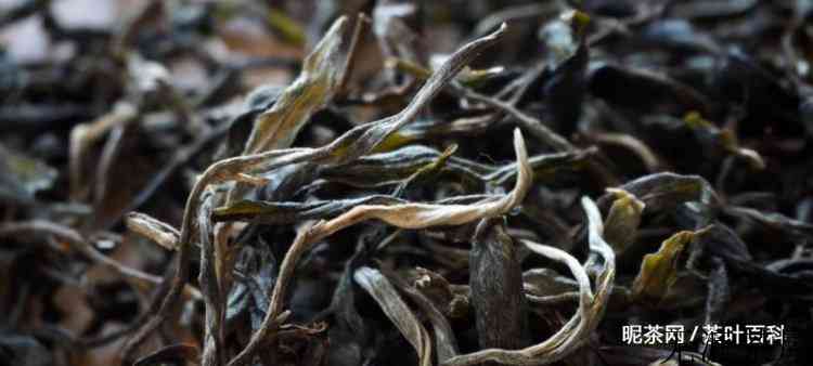 普洱茶功效与作用禁忌