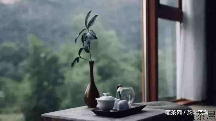 余生与茶书相伴，是我向往的生活