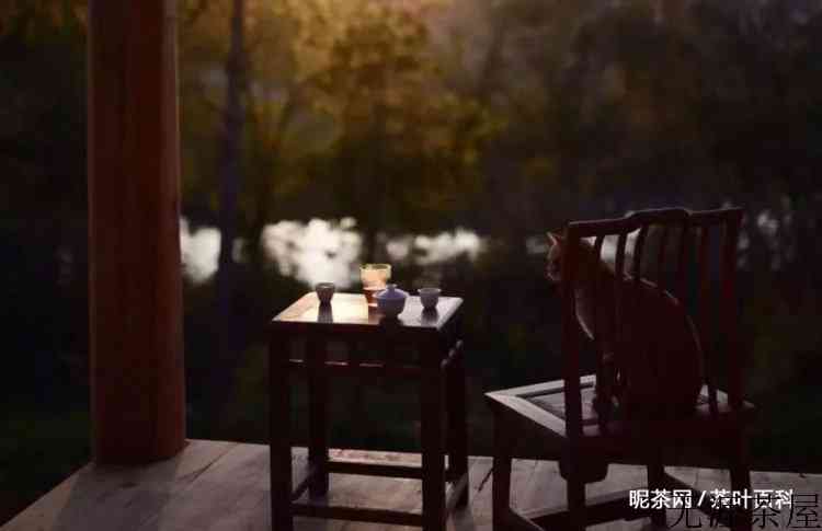 余生与茶书相伴，是我向往的生活