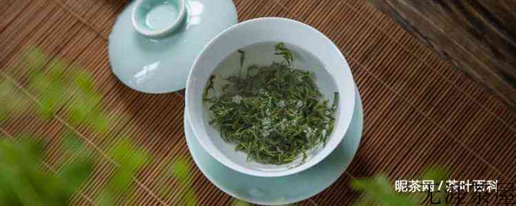 信阳毛尖盖碗泡投茶量