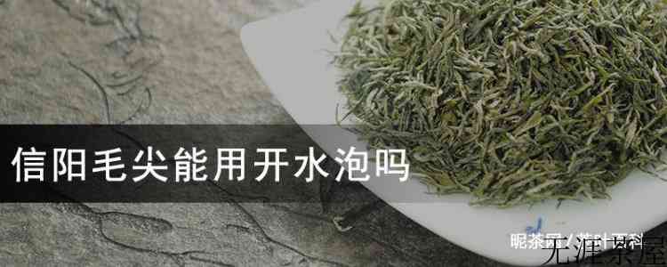 信阳毛尖能用开水泡吗
