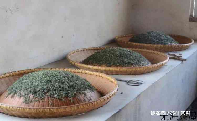 信阳毛尖为什么泡起来发混