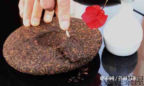 熟普洱茶的冲泡方法