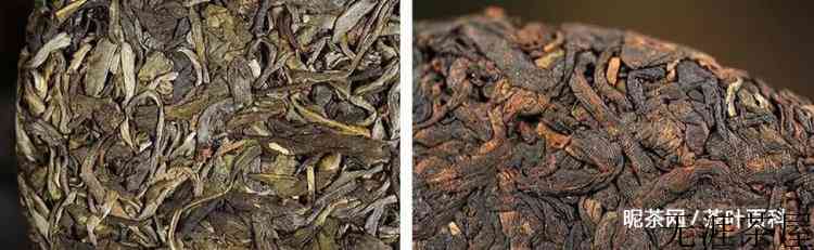 普洱茶生茶和熟茶是什么意思