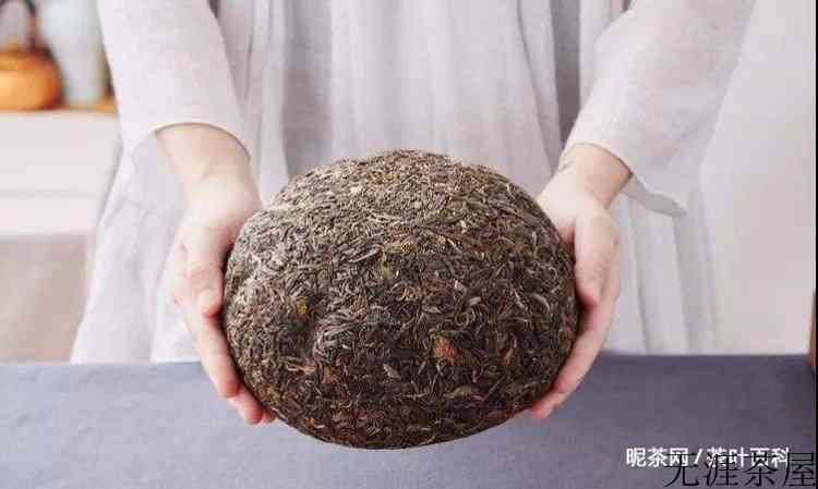 普洱茶外形特征