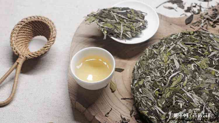 白茶的香气特点