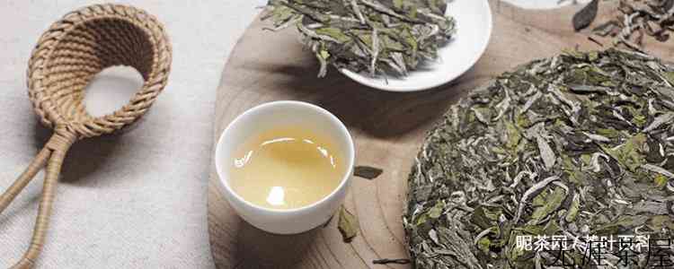 女人喝白茶的好处