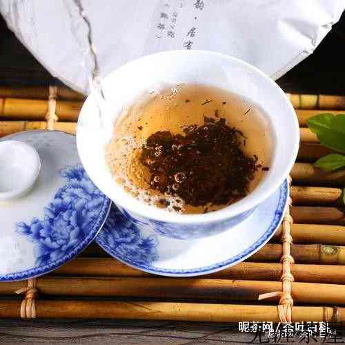 普洱熟茶投茶量