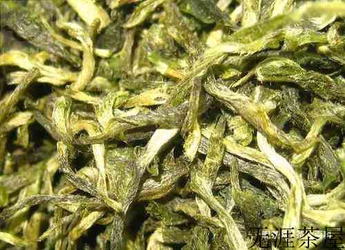 茶叶身上的小茸毛那么多，是不是不好