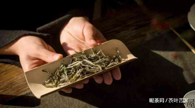 六大茶类泡茶水温