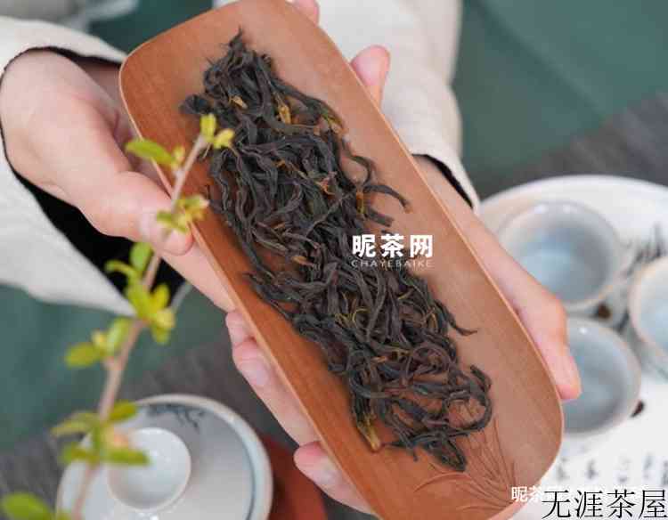 单丛是红茶还是绿茶