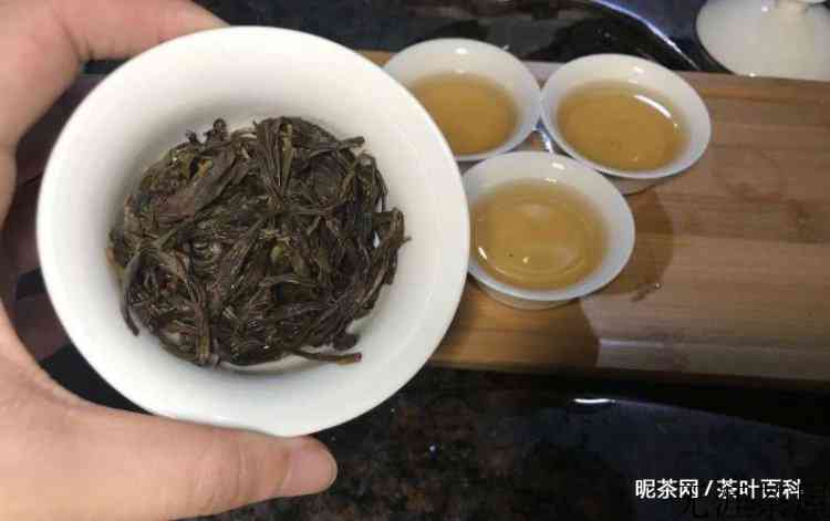 宋种是什么茶