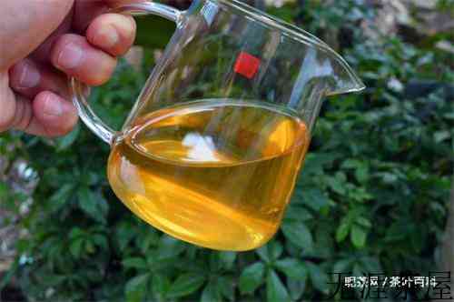 布朗山茶区有哪些山头