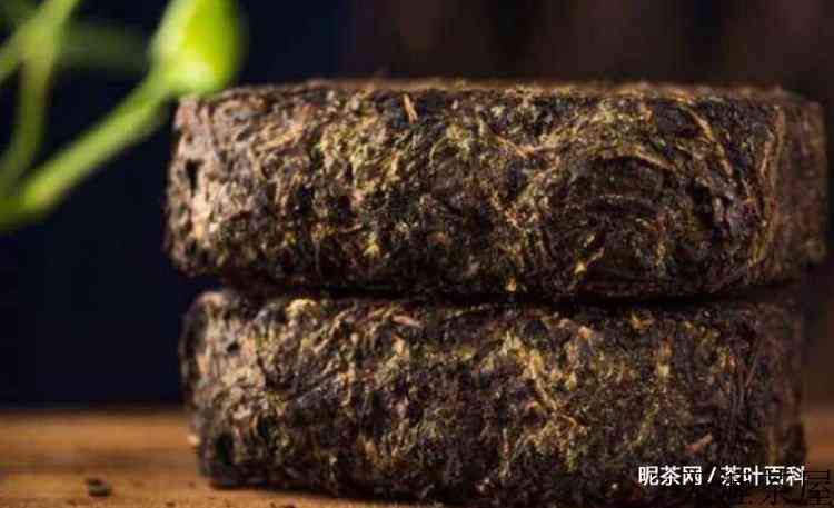 安化黑茶的功效与禁忌