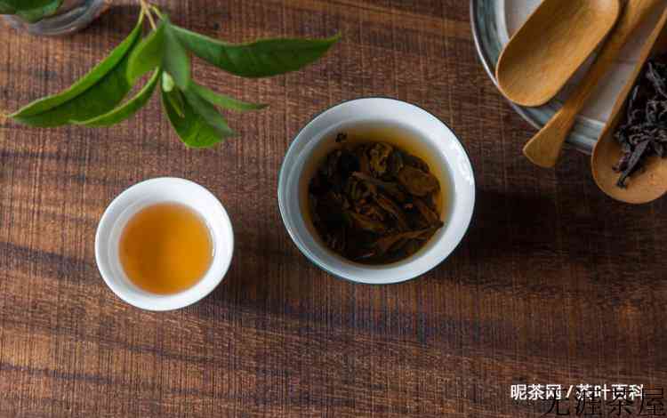 为什么喝茶能提高人体免疫力