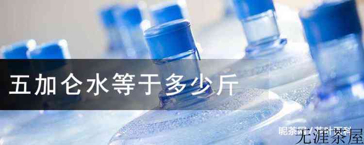 五加仑水等于多少斤