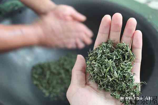 紫阳毛尖茶的功效