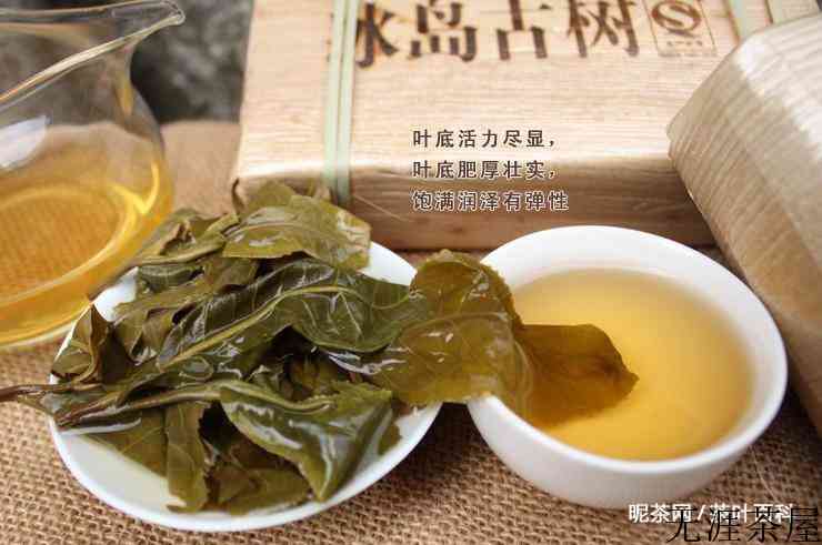 冰岛古树茶口感特点
