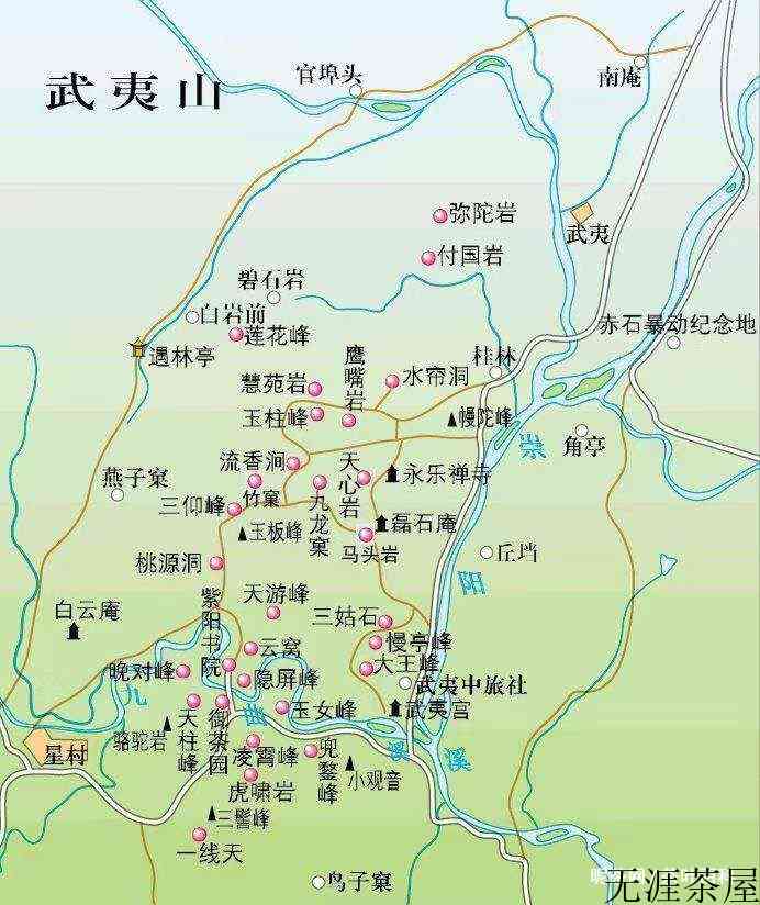 福建武夷山茶叶品种