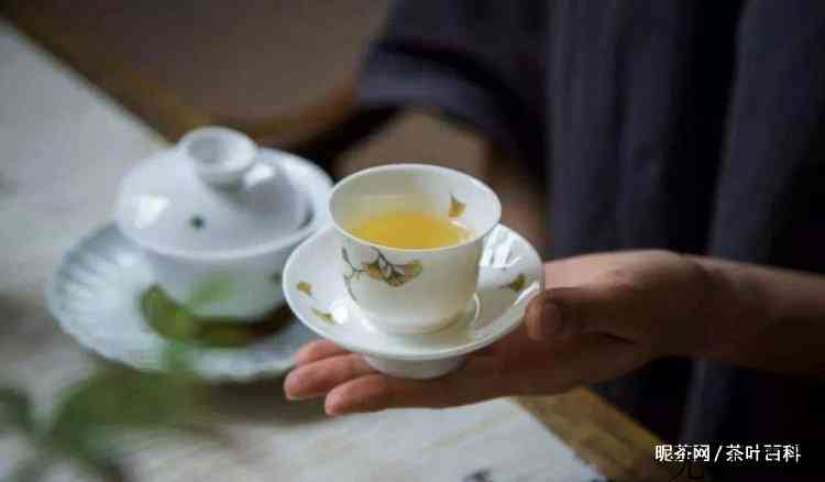 福建武夷山茶叶品种