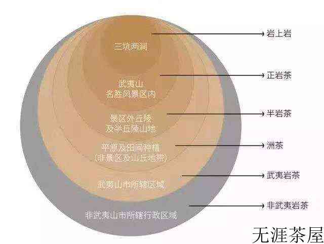 福建武夷山茶叶品种