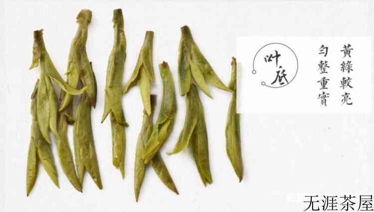 狮峰龙井属于什么茶